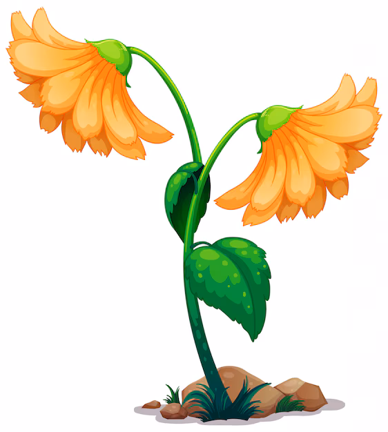 Wilted flower emoji